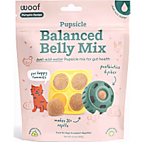 Woof Pupsicle Treat Mix Pumpkin Balanced Belly Lickable Dog Treat