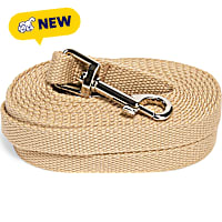 Petco 15-foot Recall Leash for Dogs