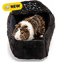 Petco Halloween Coffin Bed for Small Animals