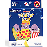 Petco Holiday Eggplant Mystery Blind Box Cat Toy