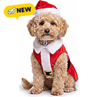 Petco Holiday Santa Suit Pet Costume Set