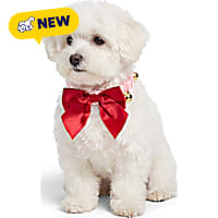 Petco Holiday Pink Bow and Bell Scrunch Costume Dog Collar