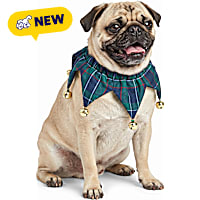 Petco Holiday Navy Plaid Jester Scrunch Costume Dog Collar