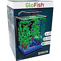GloFish Desktop Cycle Light And Hidden Filtration Aquarium Kit