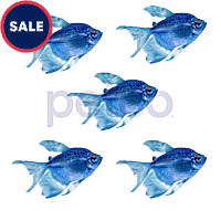 Cosmic Blue Longfin Tetra GloFish