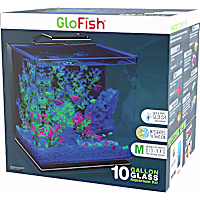 GloFish Prem Seemless Kit