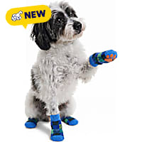 Petco Blue Plaid Dog Socks
