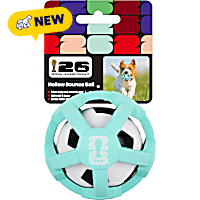 FIFA World Cup 2026 Blue Hollow Bounce Ball for Dogs