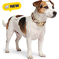Petco Tan Plaid Adjustable Dog Collar