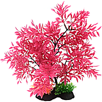 Penn Plax Pink Bonsai 11"-12" Plant