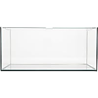 Imagitarium Frameless Shallow Glass Aquarium