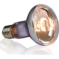 Exo-Terra 50 Watt Swamp Basking Spot Lamp