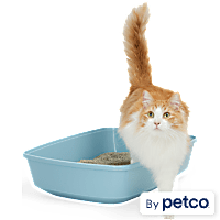 So Phresh Odor Control Litter Box