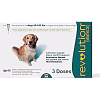 Revolution Topical Solution for Dogs 40.1- 85 lbs