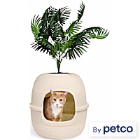So Phresh Hidden Box Faux Planter Cat Litter