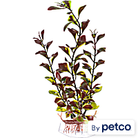 Imagitarium Red & Green Ludwigia Plastic Aquarium Plant