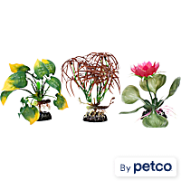 Imagitarium Floral Aquarium Plant