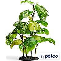 Imagitarium Stand Araceae Plant Terrarium Decor