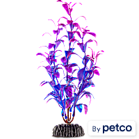 Imagitarium Purple & Blue Foreground Aquarium Plant