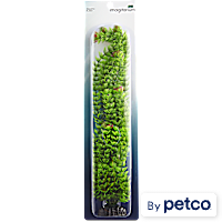 Imagitarium Ambulia Green Plant