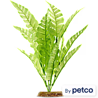 Imagitarium Bright Green Silk Plant
