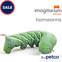Hornworms