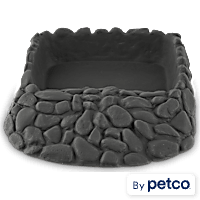Imagitarium Reptile Ramp Bowl