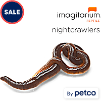 Nightcrawlers