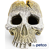 Imagitarium Primate Skull Decor