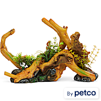 Imagitarium Driftwood with Plants and Stones