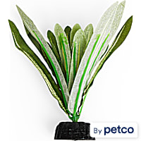 Imagitarium Anubias Betta Plant