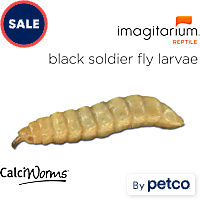 CalciWorms (Hermeia illucens)