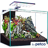Imagitarium Glass Shrimp & Aquatic Plants Aquarium