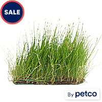 Grass Mat