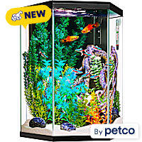 Imagitarium Hexagonal Glass Aquarium Kit with Lighting, Filtration & Accessories