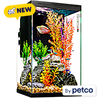 Imagitarium Column Glass Aquarium Kit with Lighting, Filtration & Accessories