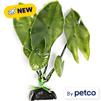 Imagitarium Dark Green Small Plant Aquarium Decor