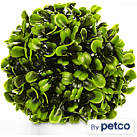 Imagitarium Hedge Ball Aquatic Decor