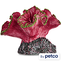 Imagitarium Coral Resin Aquarium Decor in Assorted Styles