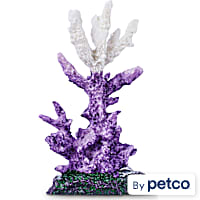 Imagitarium Staghorn Coral Aquatic Decor