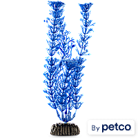 Imagitarium Blue Ambulia Midground Aquarium Plant