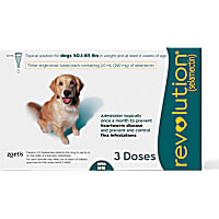 Revolution Topical Solution for Dogs 40.1- 85 lbs