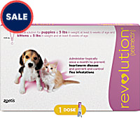 Revolution Topical Solution for Puppies and Kittens up to 5lbs
