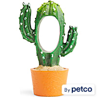 Imagitarium Terracotta Cactus