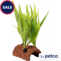 Halftube with Coco and Plant