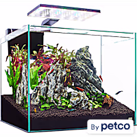 Imagitarium Glass Shrimp & Aquatic Plants Aquarium