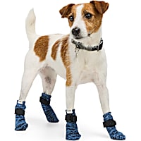 Reddy Marled Knit Dog Socks