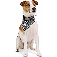 Reddy Paisley Dog Bandana
