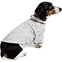 Reddy Grey Textured Pet T-Shirt