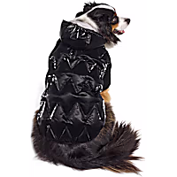 Reddy Quilted Hooded Puffer Jacket for Pets